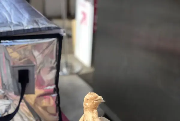 ガイトーンTokyoの写真・動画_image_197446