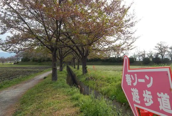 藤原宮跡の写真・動画_image_197491