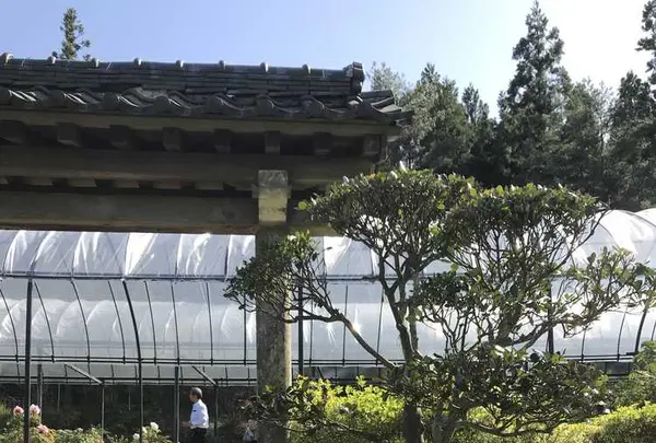 永沢寺花しょうぶ園の写真・動画_image_197522