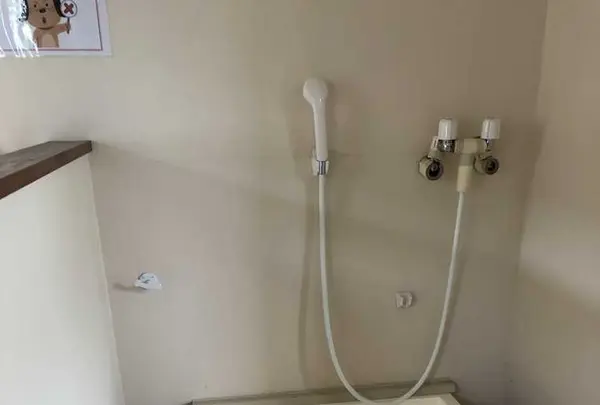 寄七つ星ドッグランの写真・動画_image_197582