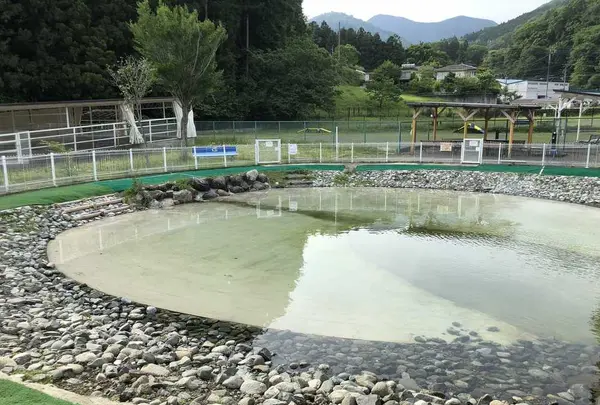 寄七つ星ドッグランの写真・動画_image_197585