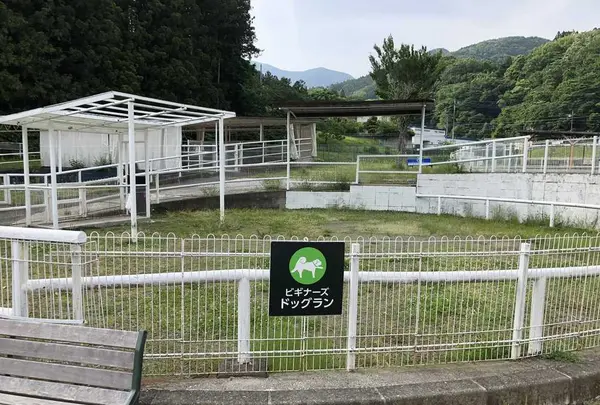 寄七つ星ドッグランの写真・動画_image_197586