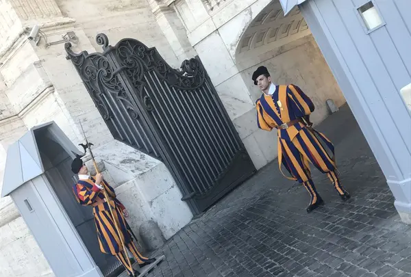 サンピエトロ寺院の写真・動画_image_197727