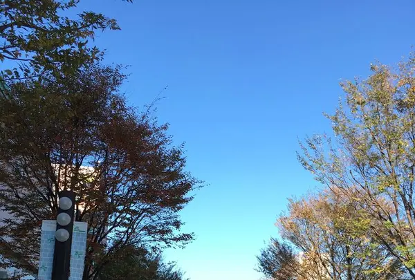 富山城の写真・動画_image_197784