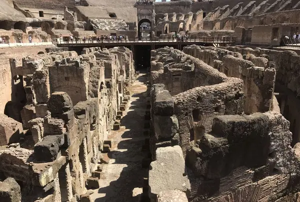 Colosseo （コロッセオ）の写真・動画_image_197865