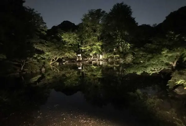 旧古河庭園の写真・動画_image_198131