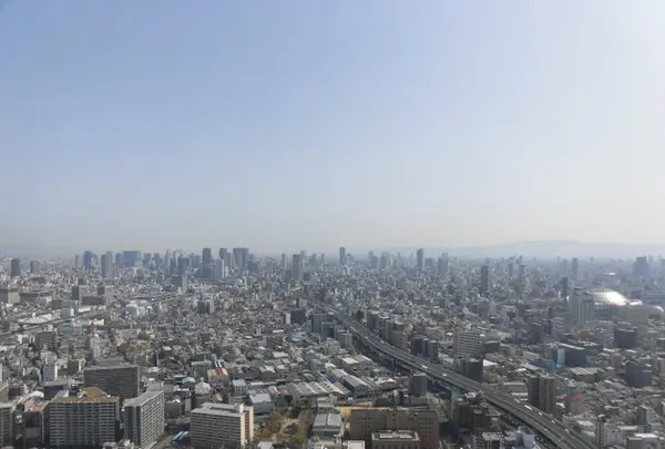 スカイビュッフェ51の写真・動画_image_198187