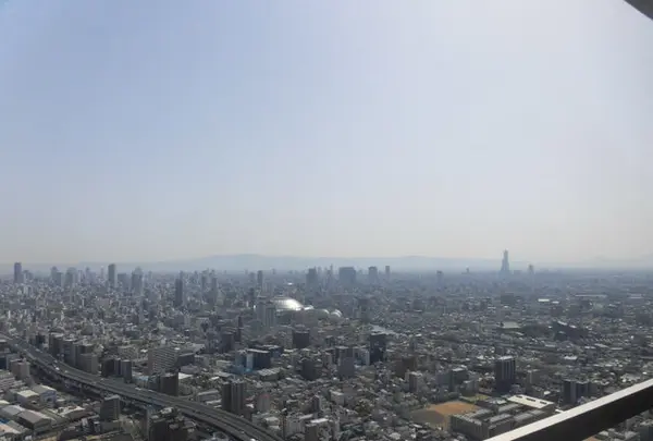 スカイビュッフェ51の写真・動画_image_198188