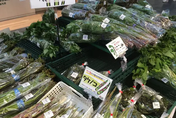 道の駅 米沢の写真・動画_image_198319