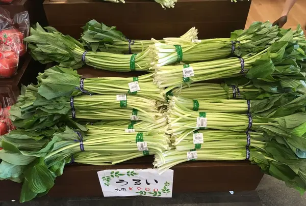 道の駅 米沢の写真・動画_image_198324