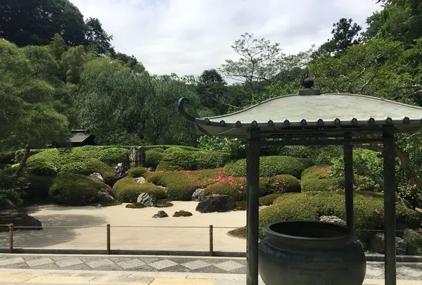 明月院（あじさい寺）の写真・動画_image_198371