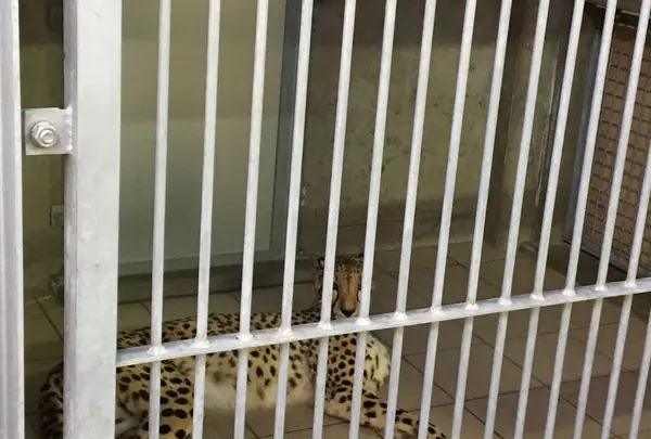 アドベンチャーワールドの写真・動画_image_198386