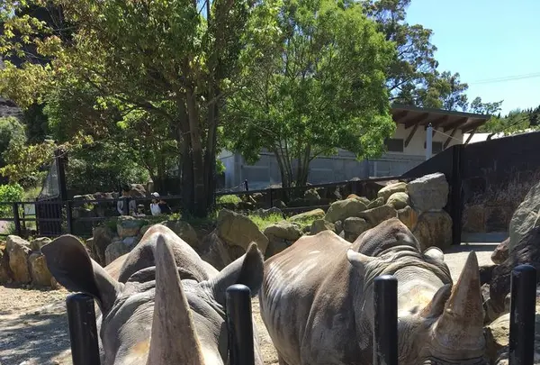 アドベンチャーワールドの写真・動画_image_198387