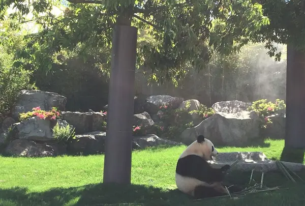 アドベンチャーワールドの写真・動画_image_198388