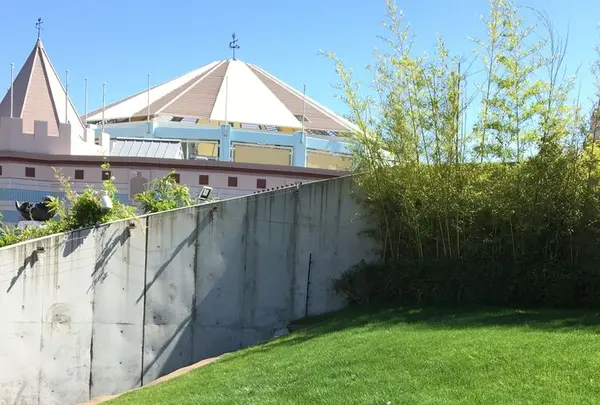 アドベンチャーワールドの写真・動画_image_198389