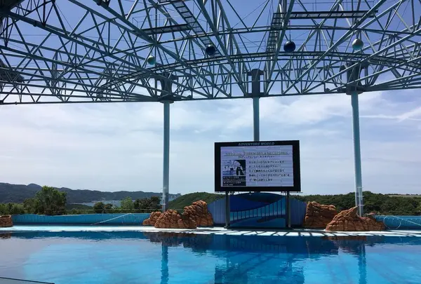 アドベンチャーワールドの写真・動画_image_198391