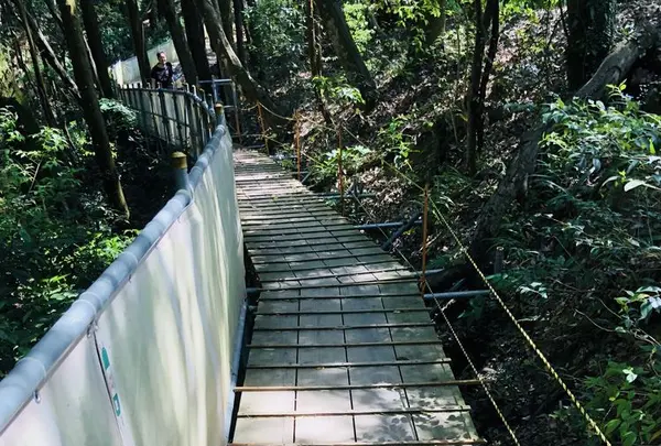 津和野城跡の写真・動画_image_198508