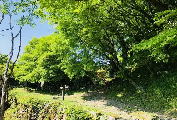津和野城跡の写真・動画_image_198509
