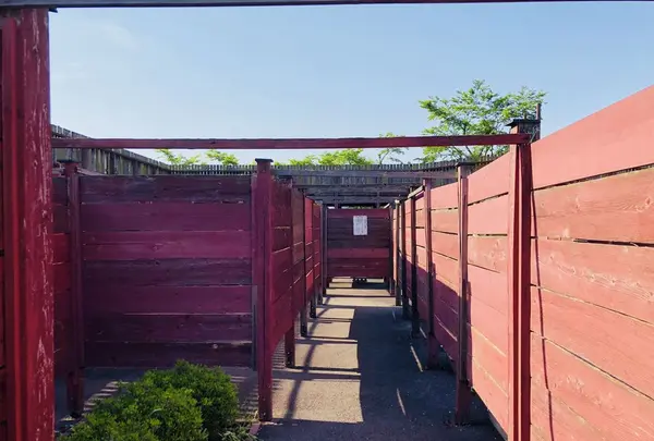 匹見の迷路の写真・動画_image_198514