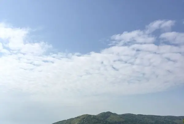 遠藤周作文学館の写真・動画_image_198565