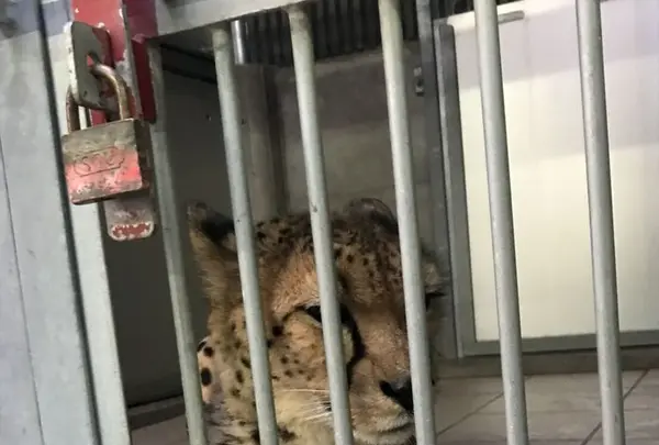 アドベンチャーワールドの写真・動画_image_198566