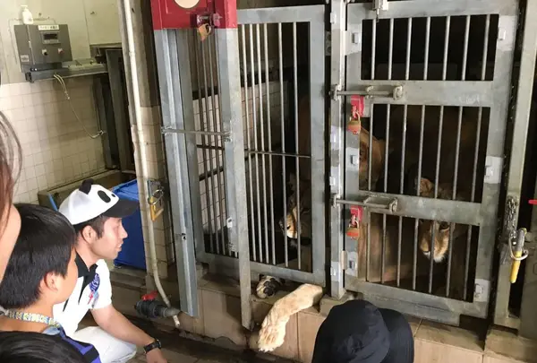 アドベンチャーワールドの写真・動画_image_198567