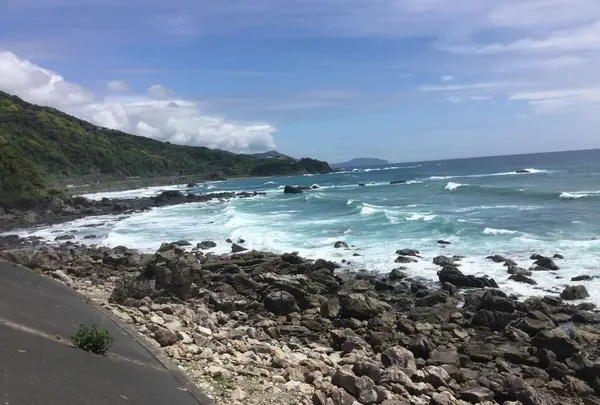 今治市の写真・動画_image_198574