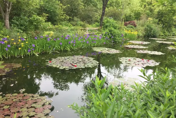 安芸市の写真・動画_image_198576