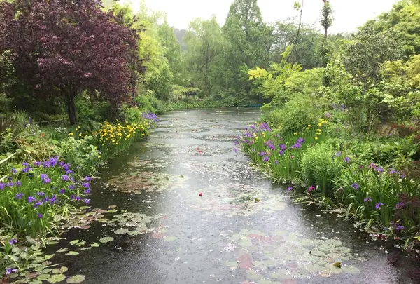 安芸市の写真・動画_image_198577