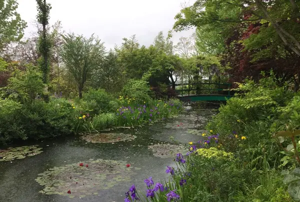 安芸市の写真・動画_image_198578