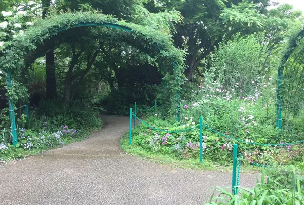 北川村「モネの庭」マルモッタンの写真・動画_image_198624