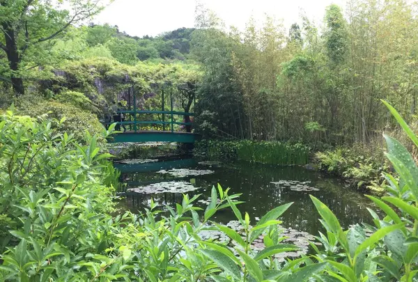 北川村「モネの庭」マルモッタンの写真・動画_image_198627