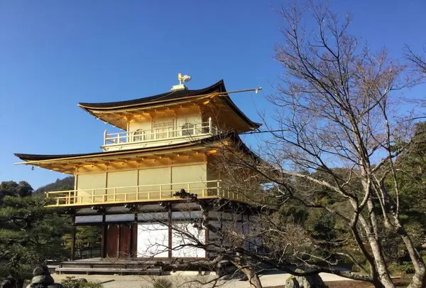 京都世界遺産巡りの写真・動画_image_198699