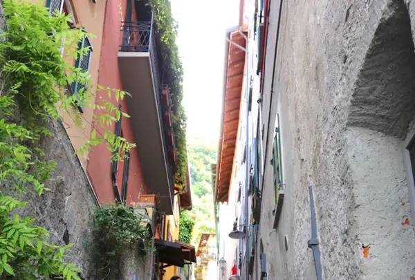 バレンナの写真・動画_image_198712