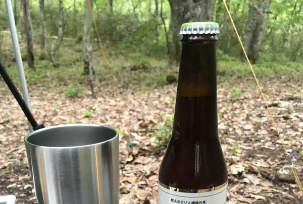 飛騨荘川 一色の森キャンプ場の写真・動画_image_198756