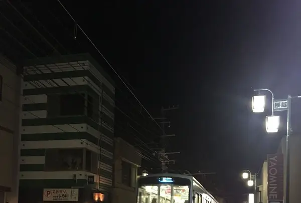 かきやの写真・動画_image_198775