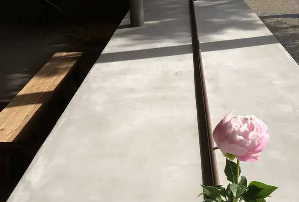 arita huis（アリタハウス）の写真・動画_image_198987