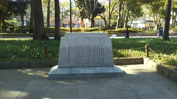 横浜公園の写真・動画_image_199128