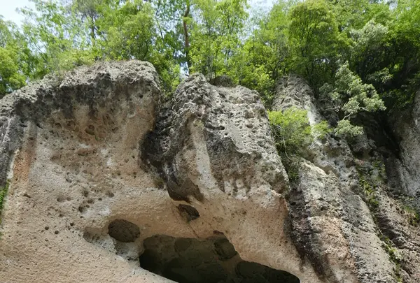 大谷寺・大谷観音の写真・動画_image_199455