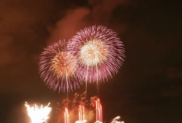 臨港パーク沖の写真・動画_image_199470