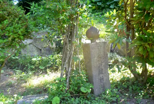 本行寺の写真・動画_image_199563