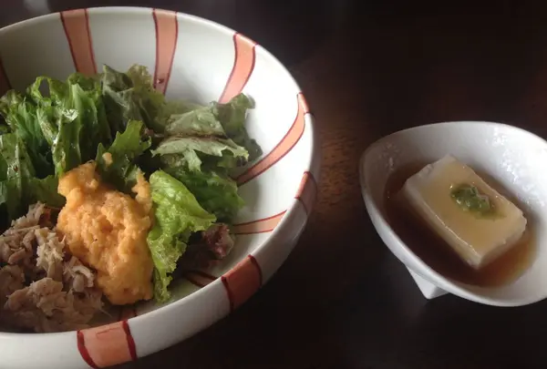 四季彩 しをり｜川床 四条 木屋町 宴会 飲み放題 ハンバーグ 歓迎会 鴨川納涼床の写真・動画_image_199908