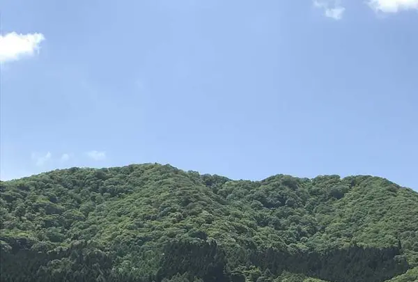 やくらいガーデンの写真・動画_image_199923