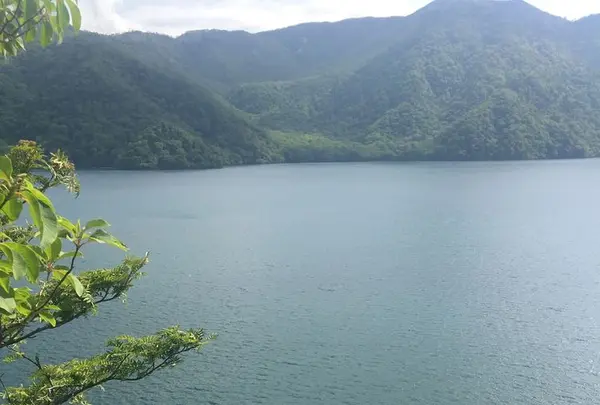 中禅寺湖湖畔遊歩道の写真・動画_image_200216