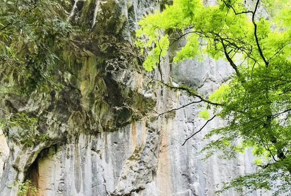 羽山渓の写真・動画_image_200264