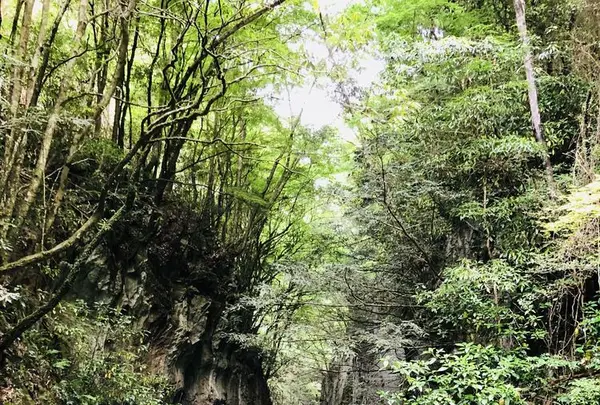 羽山渓の写真・動画_image_200265