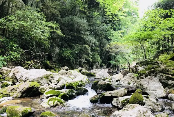 羽山渓の写真・動画_image_200267