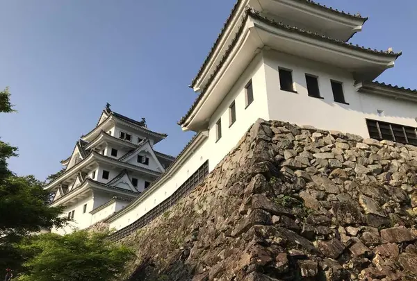 郡上八幡城の写真・動画_image_200368