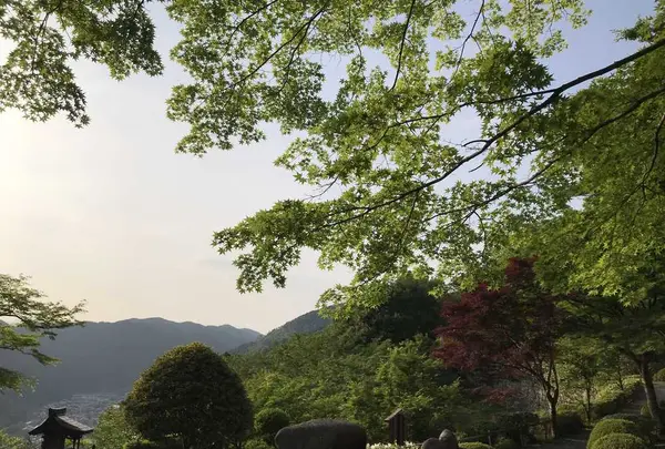 郡上八幡城の写真・動画_image_200369