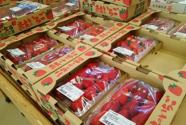 JAならけん まほろばキッチンの写真・動画_image_200384